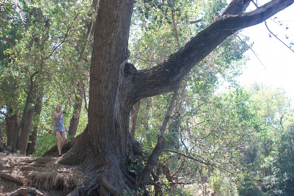 Taking the plunge into video