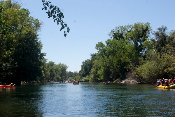 Getting my toes wet in video editing with Animoto and YouTube